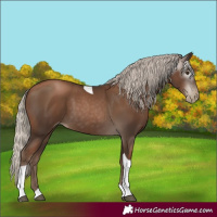 Horse Color:Gray Silver Black Pearl Tobiano 