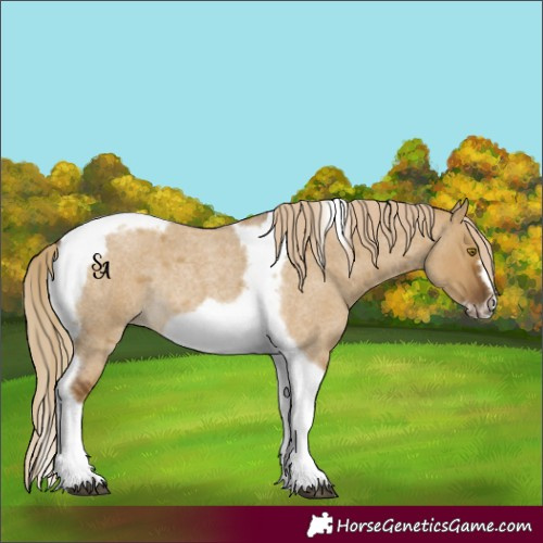 Horse Color:Chocolate Palomino Roan Dun Tobiano Frame Rabicano 