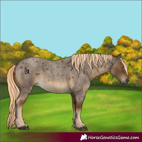 Horse Color:Chocolate Palomino Roan Mushroom 