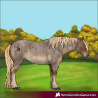 Horse Color:Chocolate Palomino Roan Mushroom