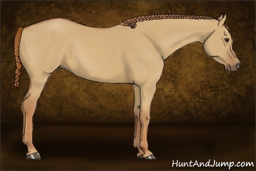 Horse Color:Red Dun 