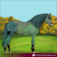 Horse Color:ERROR: UNKNOWN ANOMALY