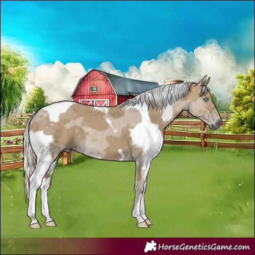 Horse Color:Silver Smoky Grullo Merle 