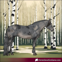 Horse Color:Black Merle