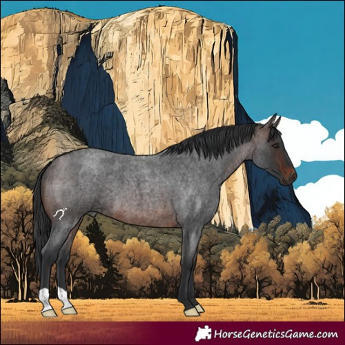 Horse Color:Brown Roan 