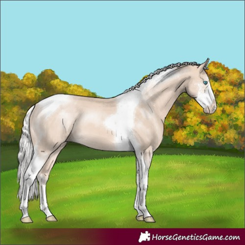 Horse Color:Silver Perlino Sabino Tobiano