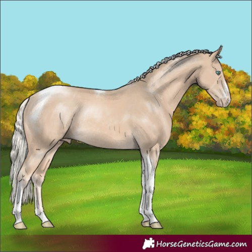 Horse Color:Cremello Sabino Tobiano Rabicano 