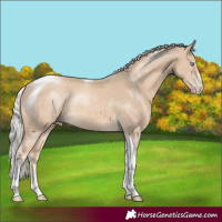 Horse Color:Cremello Sabino Tobiano Rabicano