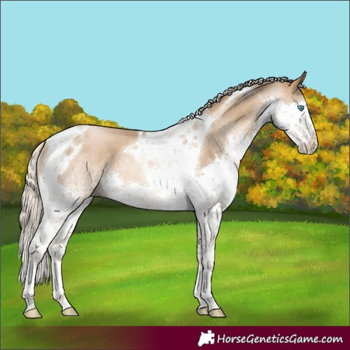 Horse Color:Chocolate Palomino Pearl Splash Tobiano Rabicano