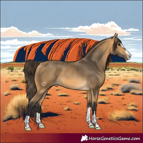 Horse Color:Buckskin 