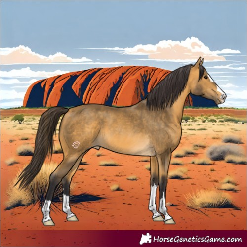 Horse Color:Buckskin 