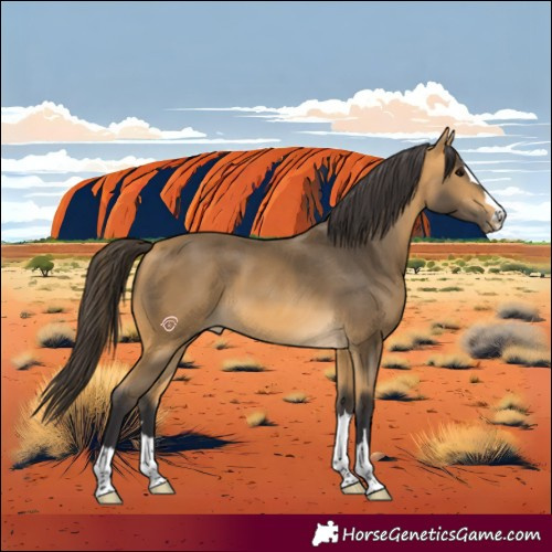 Horse Color:Buckskin 