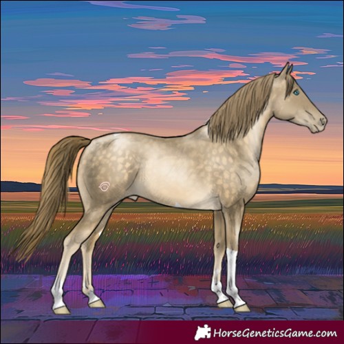 Horse Color:Buckskin Pearl Tobiano 