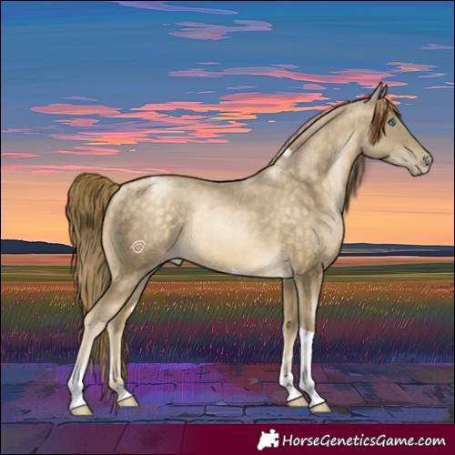 Horse Color:Buckskin Pearl Tobiano 