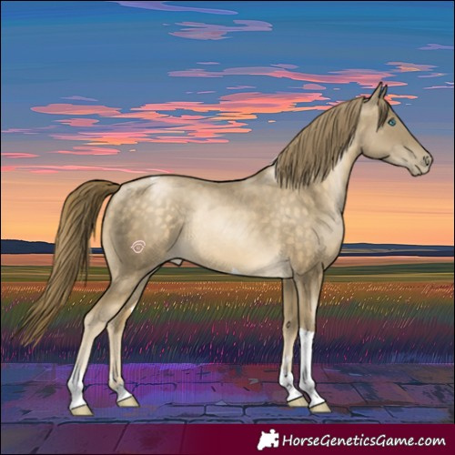 Horse Color:Buckskin Pearl Tobiano 