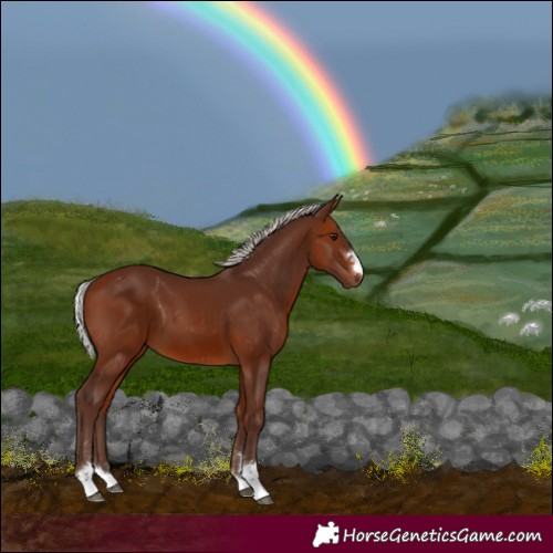 Horse Color:Silver Bay 