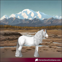 Horse Color:Bay Splash Tobiano Frame Appaloosa 