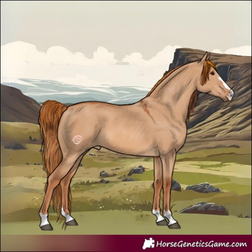 Horse Color:Red Dun 