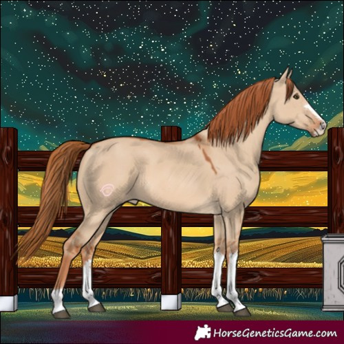 Horse Color:Red Dun 