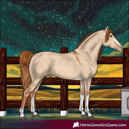 Horse Color:Red Dun 