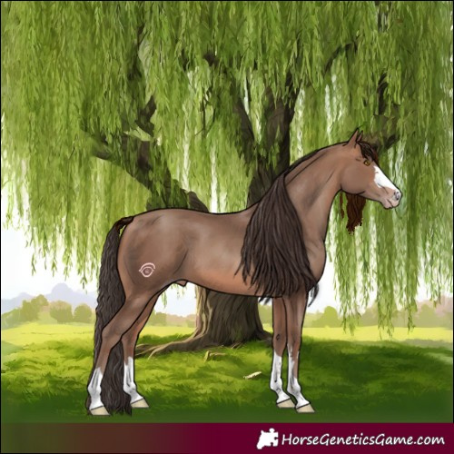 Horse Color:Sable Champagne 