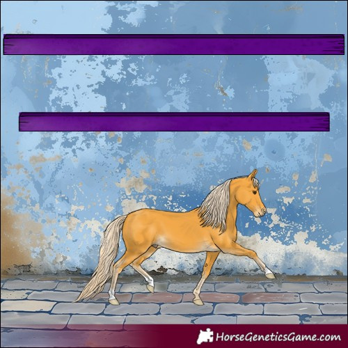 Horse Color:Palomino 
