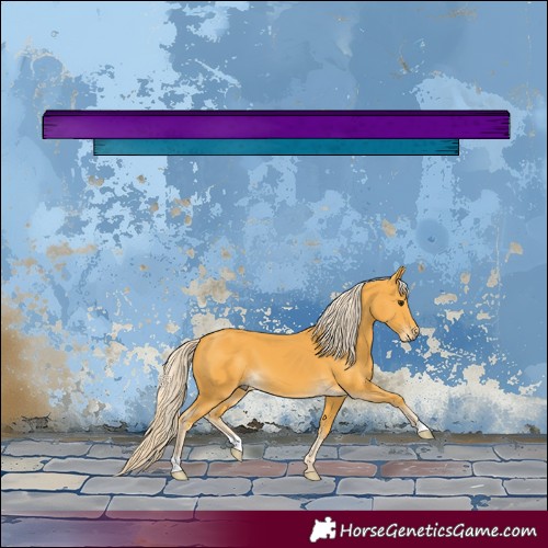 Horse Color:Palomino 