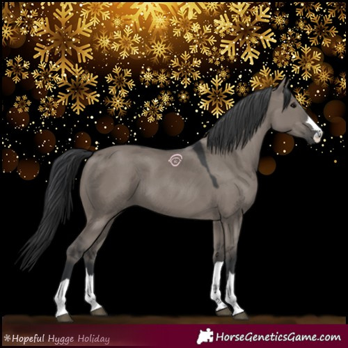 Horse Color:Grullo 