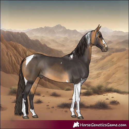 Horse Color:Buckskin Tobiano 