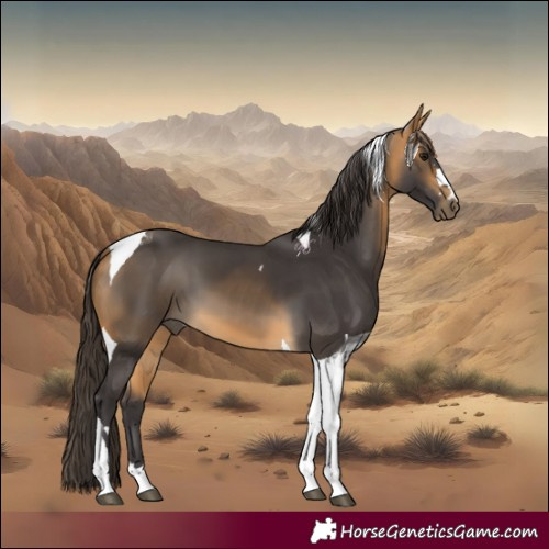 Horse Color:Buckskin Tobiano 