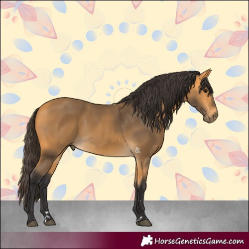 Horse Color:Buckskin 