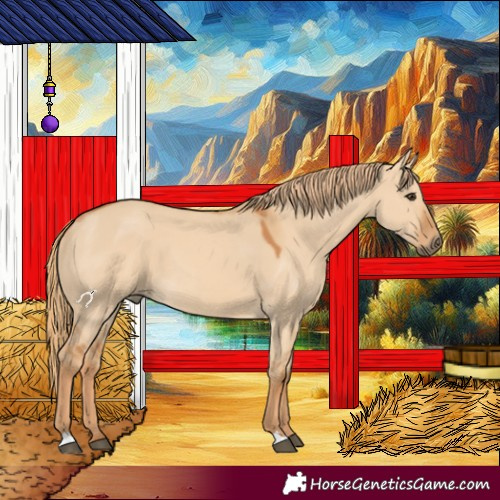Horse Color:Red Dun 