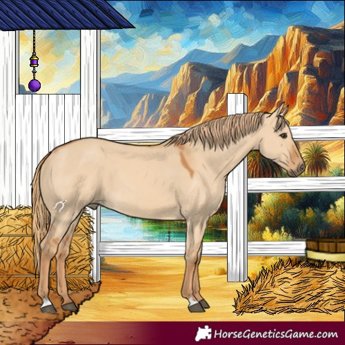Horse Color:Red Dun 