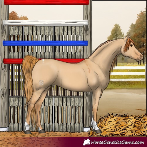 Horse Color:Red Dun Tobiano 