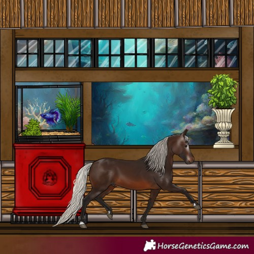 Horse Color:Gray Silver Brown 