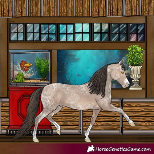 Horse Color:Sable Champagne Ice 