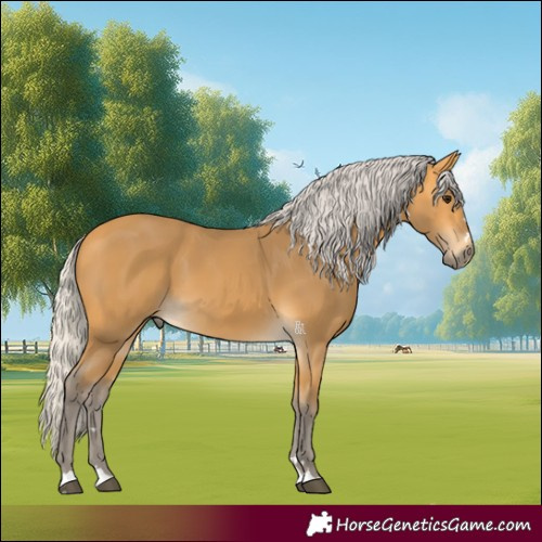 Horse Color:Silver Buckskin 