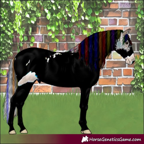 Horse Color:ERROR: UNKNOWN ANOMALY