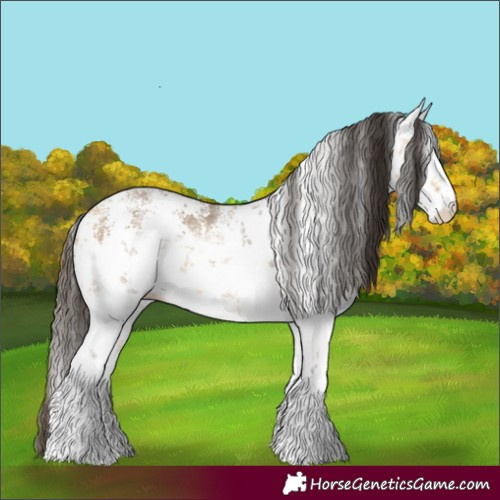 Horse Color:White Spotted Buckskin Sabino
