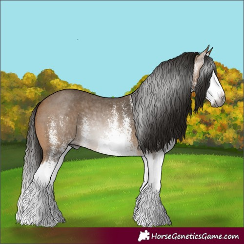 Horse Color:Gray White Spotted Buckskin Splash 
