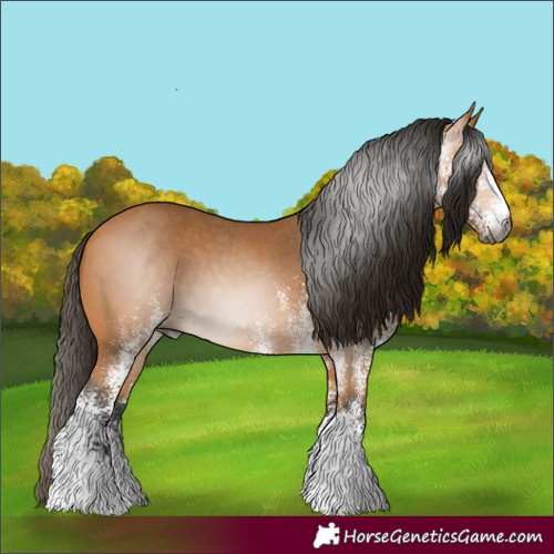 Horse Color:Gray White Spotted Buckskin 
