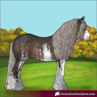 Horse Color:Gray White Spotted Silver Black 
