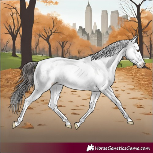 Horse Color:Brown Dun Sabino Rabicano 