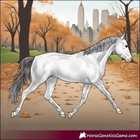 Horse Color:Brown Dun Sabino Rabicano 