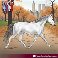 Horse Color:Brown Dun Sabino Rabicano 