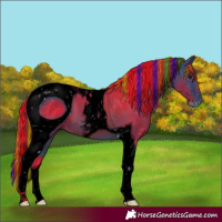 Horse Color:ERROR: UNKNOWN ANOMALY