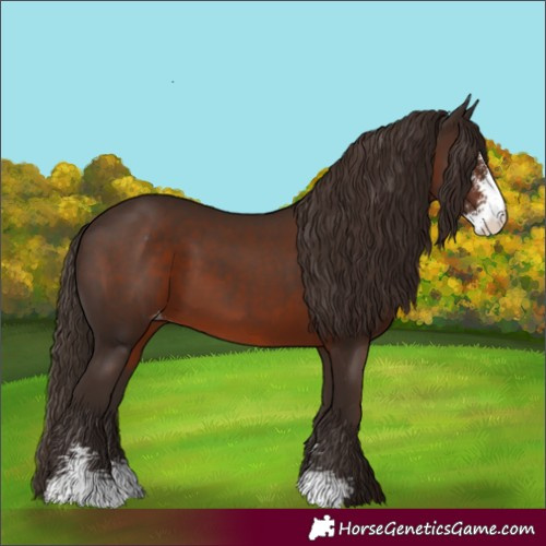 Horse Color:Liver Chestnut Sabino Varnish 