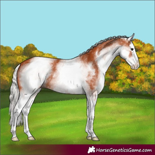 Horse Color:White Spotted Silver Bay Splash 
