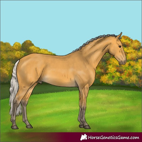 Horse Color:Silver Buckskin 