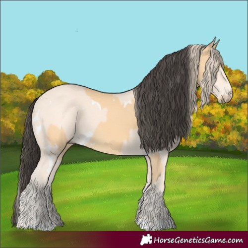 Horse Color:White Spotted Buckskin and White Spotted Perlino